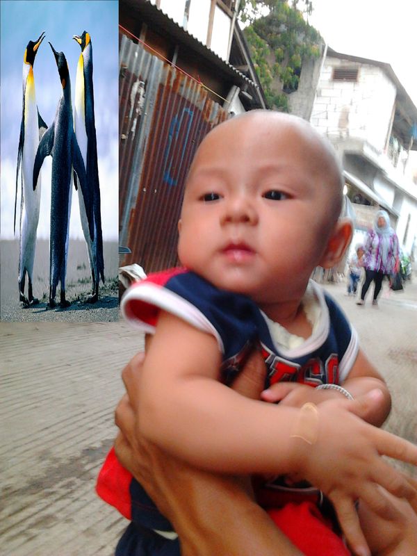 M Rasyid Zahwan, 8 Bulan, Lelaki