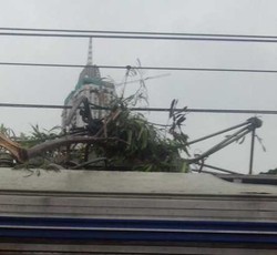  Gara-gara Ranting Pohon, Jalur KRL Serpong-Tanah Abang Terganggu