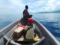 Ini Fakta-Fakta Kelistrikan Papua