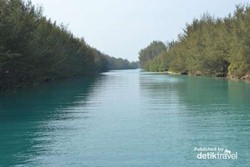 Siapa Sangka, Laut Jakarta Masih Biru