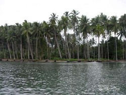 Rayuan Pulau Kelapa dari Maluku