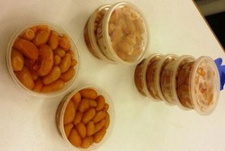 Ih... Pria Ini Selundupkan 2 Kg Testis Ayam ke Selandia Baru