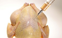 5 Bahan Ini Dipakai untuk Membuat Daging Ayam Gelonggongan di Inggris