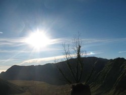  Misteri Wanita Terakhir Soe Hok Gie dari Puncak Mahameru 