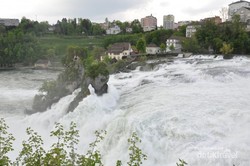 Rheinfall: Niagaranya Swiss, Terbesar di Eropa!