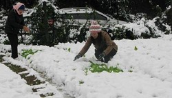 Hujan Salju Aneh Muncul di Vietnam, Mungkinkah Terjadi di Indonesia?