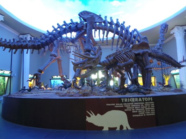 Kerennya Museum Satwa Jatim Park 2