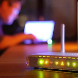 Riset: Sinyal WiFi Bisa Membunuh Tanaman