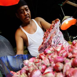 Bawang Merah Ilegal Asal Malaysia Banyak Masuk Melalui Daerah Ini