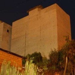 Impor Burung Walet RI ke China Masih Harus Lewat Malaysia