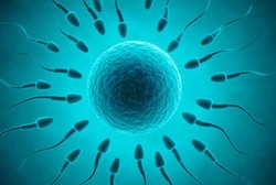 Saat Sperma Tak Menyembur Sebagaimana Mestinya