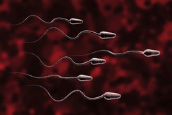 Bukannya Menyembur, Sperma Justru Atret Masuk Lagi