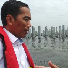 Tinjau Pembangunan Pelabuhan Kali Baru, Jokowi Naik Kapal Pandu Pelindo
