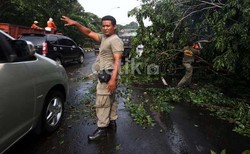Hujan Disertai Angin Kencang Guyur Jakarta, Waspadai Pohon Tumbang