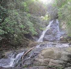 Walhi: Jangan Pilih Capres yang Tak Pro Lingkungan