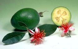 Yuk, Kenali Kekayaan Kuliner Unik dari 10 Negara di Dunia Ini! (2)