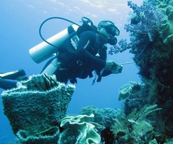 Sebelum Diving, Kursus Dulu