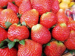 Belanja Stroberi, Oleh-oleh Khas Bedugul, Bali