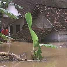 Banjir Setinggi 3 Meter, Warga di Jember Terus Dievakuasi