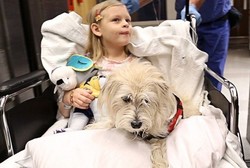 Anjing Ini Selamatkan Nyawa Bocah dengan Alergi Langka Berkat Penciumannya