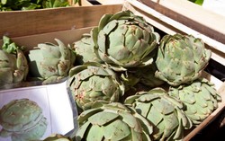 Artichoke Meledak Saat Dipotong Terjadi Lagi di Italia