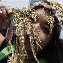 FAO Sebut Orang Indonesia Boros Pangan Sehingga Impornya Besar