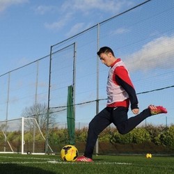 Oezil Ingatkan Wenger pada Pires