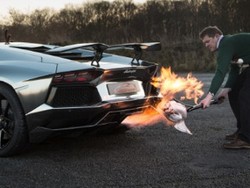 Canggih! Memanggang Kalkun dengan Knalpot Lamborghini