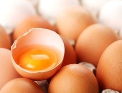 Info Kalori Telur Paling Banyak Dicari di Google Tahun 2013