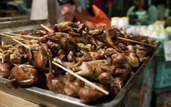 Daging Burung Dara dan Kelinci Diprediksi Jadi Makanan Populer Tahun 2014