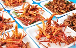 Belalang dan Burger Daging Tabung, Makanan yang Mengubah Dunia (1)