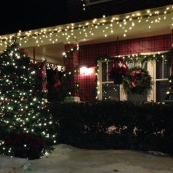 Bos Cantik Yahoo Bungkus Rumahnya Jadi Kado Natal 