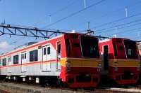 Pohon Timpa Kabel Listrik Atas, KRL Jakarta-Bogor Sempat Terganggu