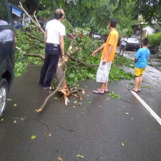 Hujan Angin, Cabang Pohon Angsana Besar di Tebet Timur Patah