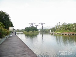 Tahun Baru di Singapura, Jangan Lupa ke Garden by the Bay