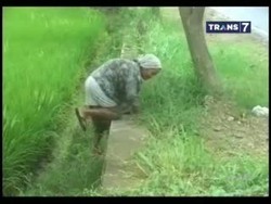 Sepenggal Asa Nenek Pembasmi Hama