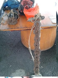 Penyisir Ranjau Paku di Roxy Mengaku Kerap Diancam Penambal Ban