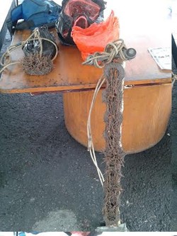 Inilah Ranjau Paku yang Disebar Bejo di Roxy