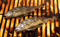 Lakukan Langkah Ini Agar Tampilan Ikan Bakar Kering dan Enak