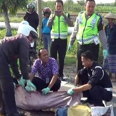 Motor Senggol Truk, Ibu dan Anak Tewas Terlindas Truk