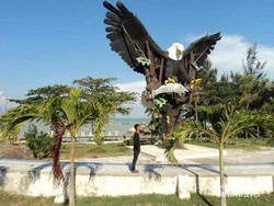 Awas! Ada Elang Laut Raksasa di Pantai Parai, Bangka