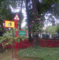 Asyik, Bandung Kini Punya Taman Pustaka Bunga