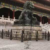 Ayo Tebak, Ini Orang Atau Sayur?