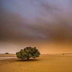 Topan Dahsyat Christine Terjang Australia Barat, Aliran Listrik Terputus