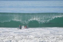 Surfer Nyaris Digulung Ombak.... Bersama Hiu