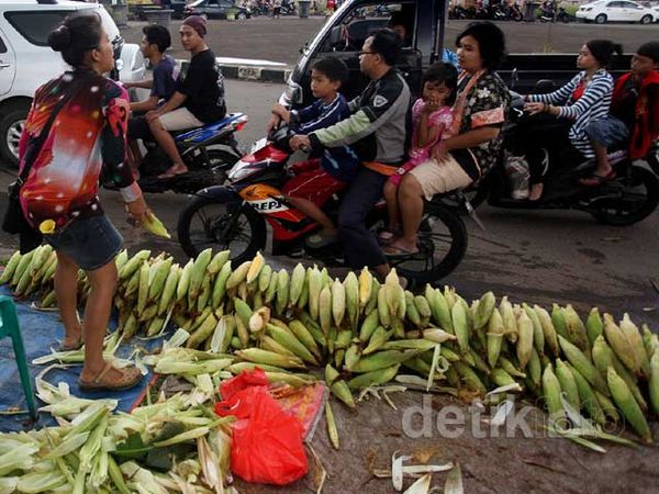 Jagung Diserbu Warga