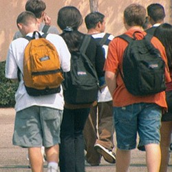 Freshmen Year, Kehidupan Remaja SMA Amerika