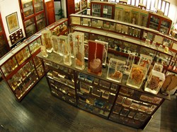 Inikah Museum Paling Menyeramkan di Bangkok?