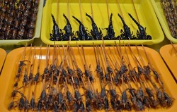 Penis Hewan & 5 Street Food Aneh di China