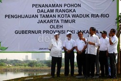 Jokowi: Jangan Sampai Kita Ngejar Orang Menanam, Tapi Tempat Kita Gersang